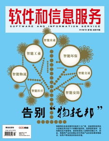 软件信息咨询服务 数字化时代的战略导航