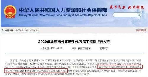 北京软件信息服务业新生代农民工占比提升 人才结构新动态背后的机遇与挑战