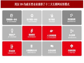 2017年中国管理软件厂商云转型现状与趋势分析